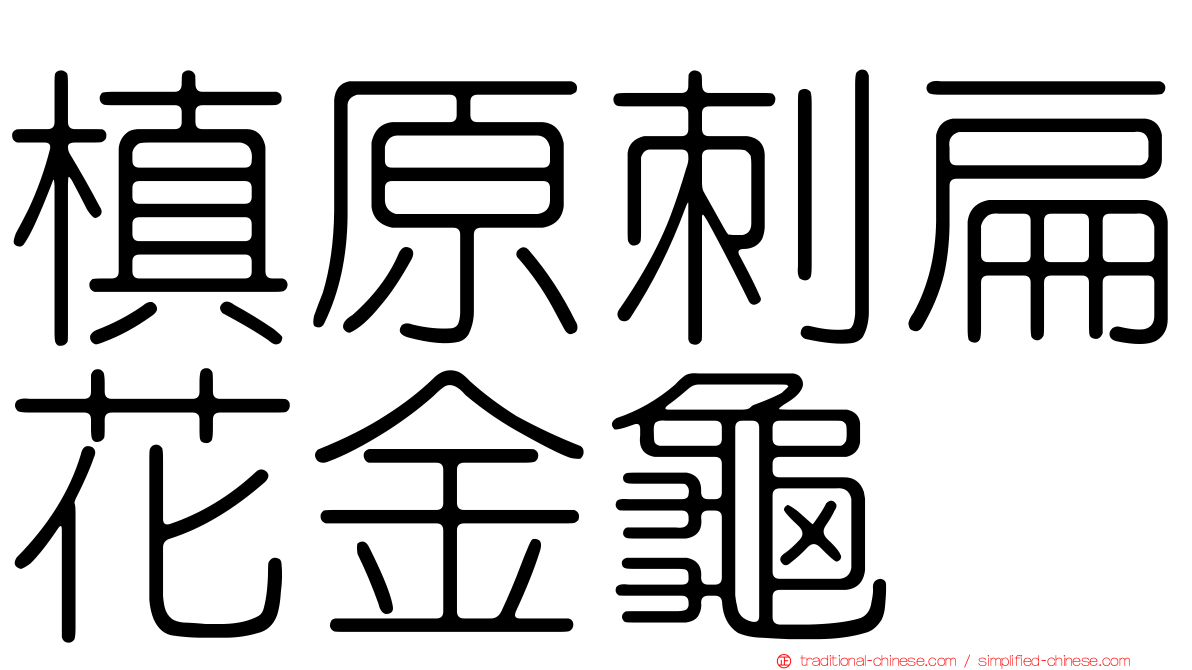 槙原刺扁花金龜