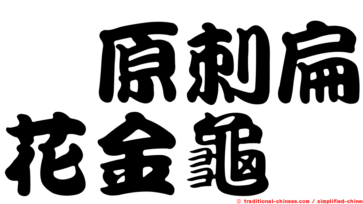 槙原刺扁花金龜