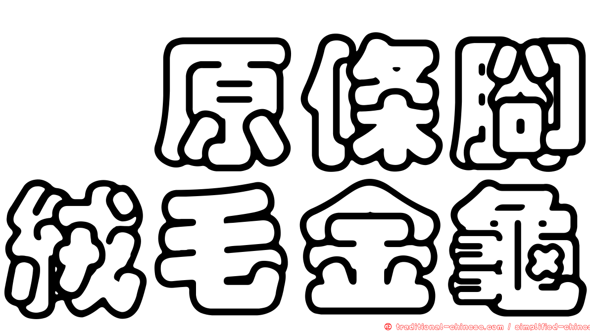 槙原條腳絨毛金龜