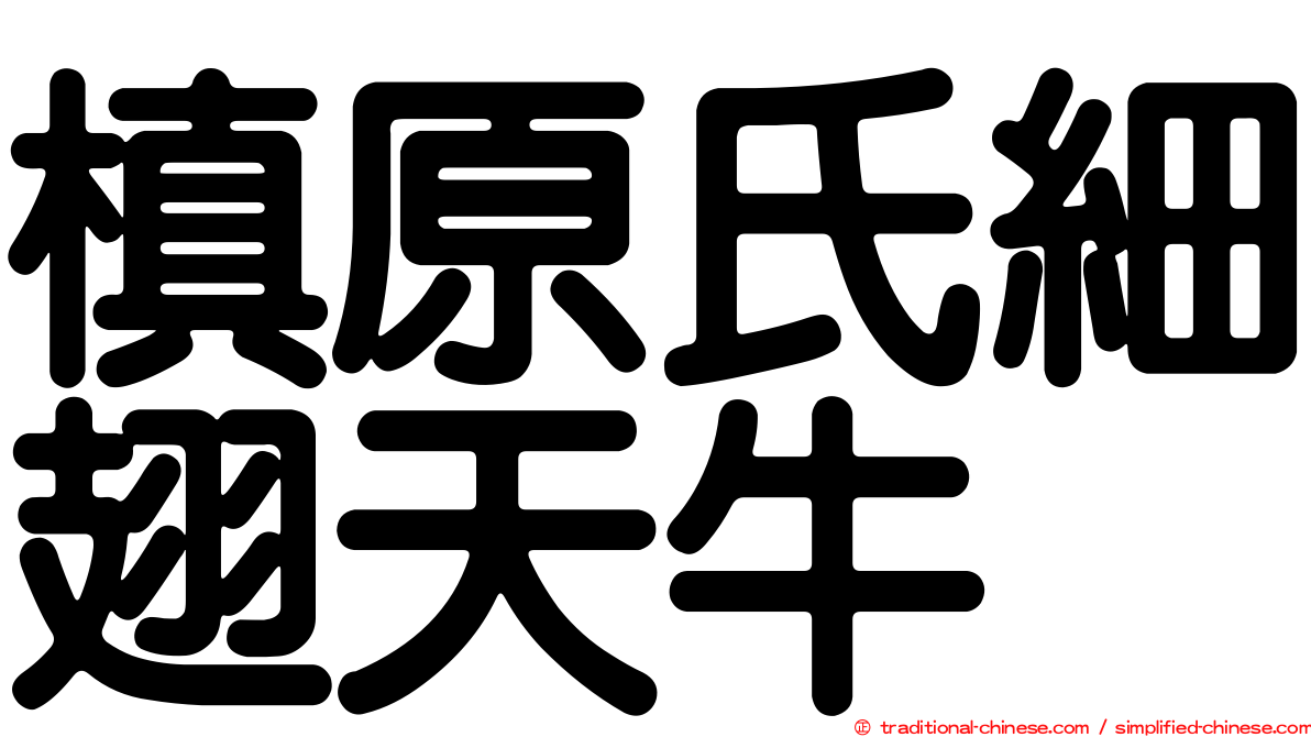 槙原氏細翅天牛