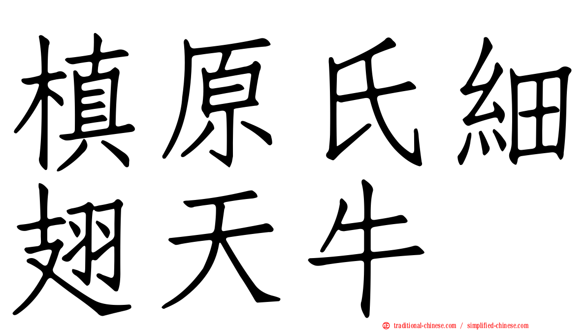 槙原氏細翅天牛