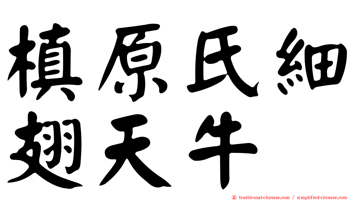 槙原氏細翅天牛