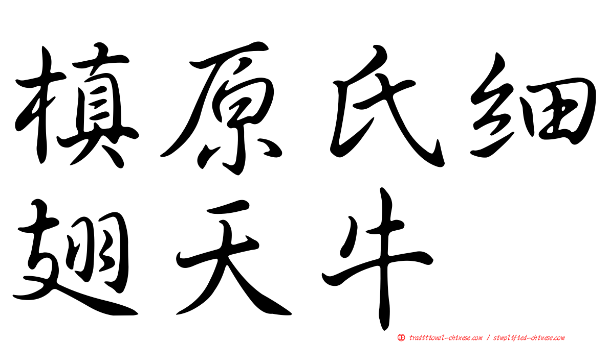 槙原氏細翅天牛