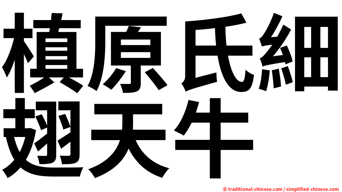 槙原氏細翅天牛