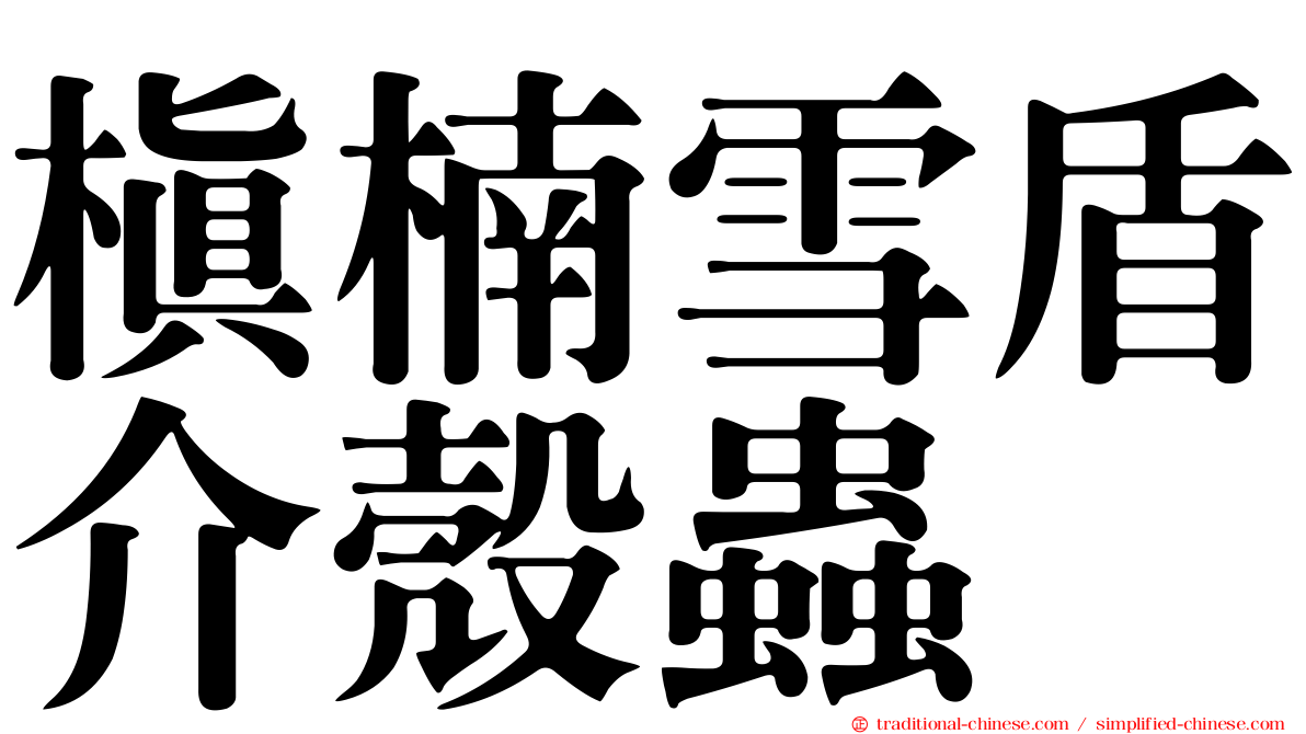 槙楠雪盾介殼蟲
