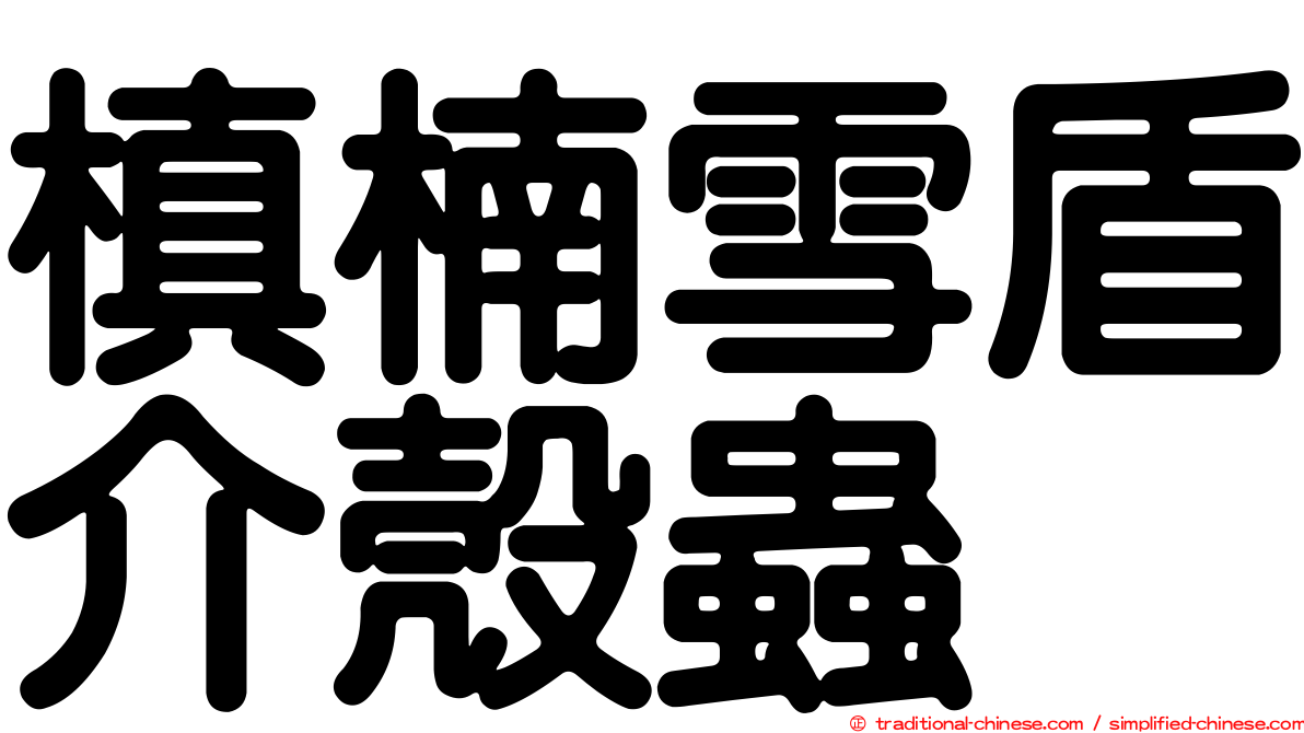 槙楠雪盾介殼蟲