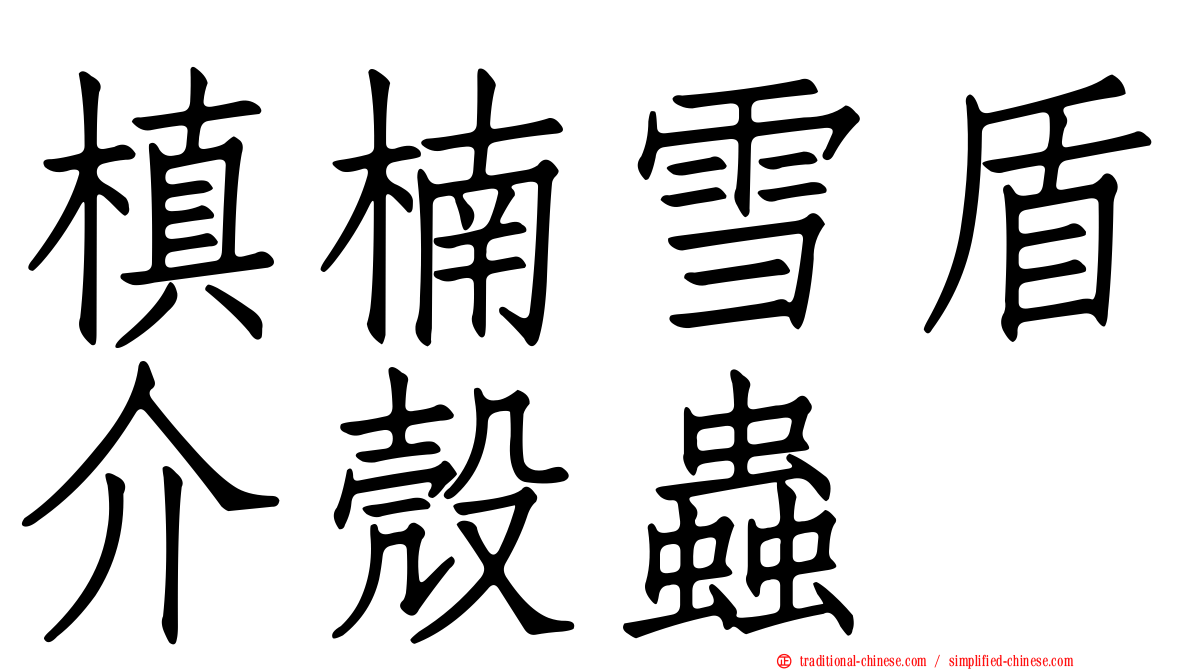 槙楠雪盾介殼蟲