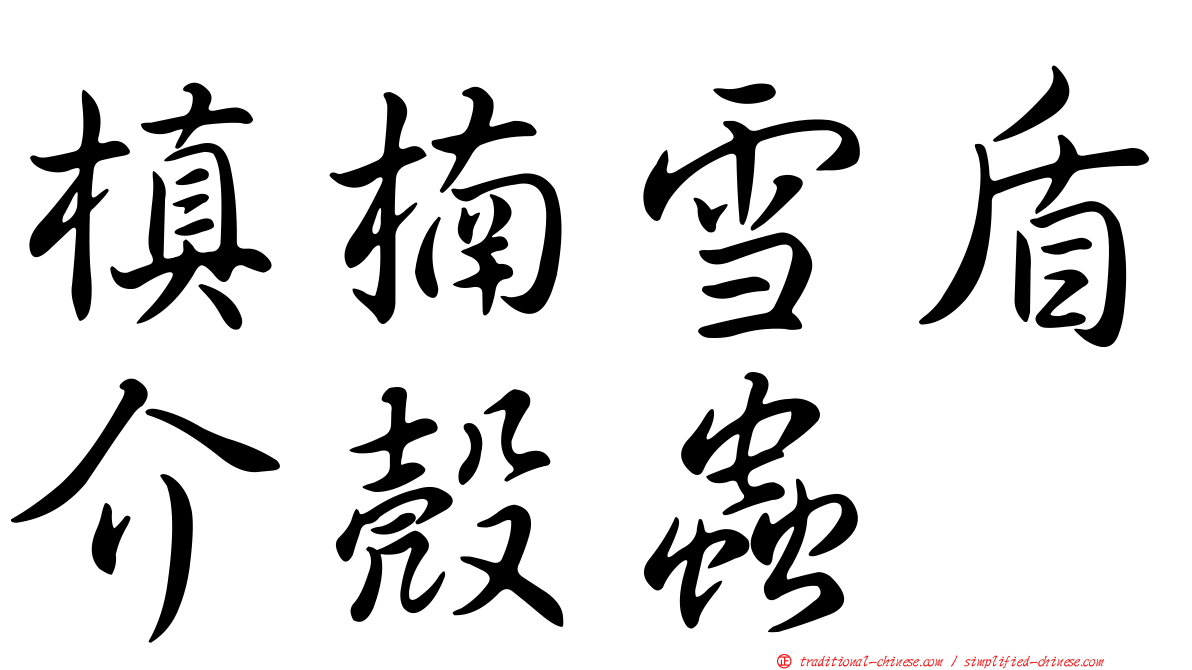 槙楠雪盾介殼蟲