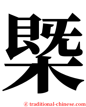 槩 serif font