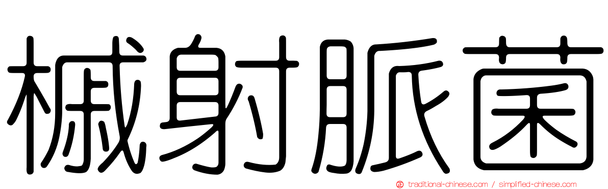 槭射脈菌