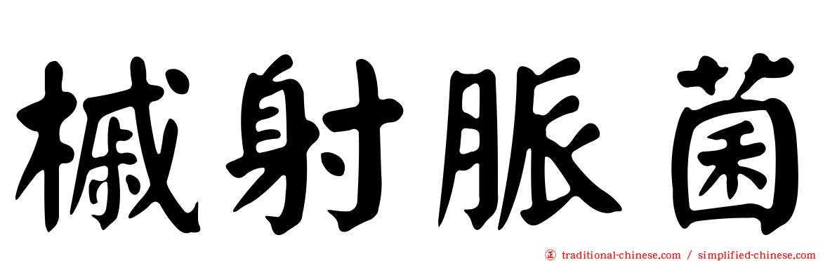 槭射脈菌