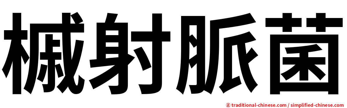 槭射脈菌