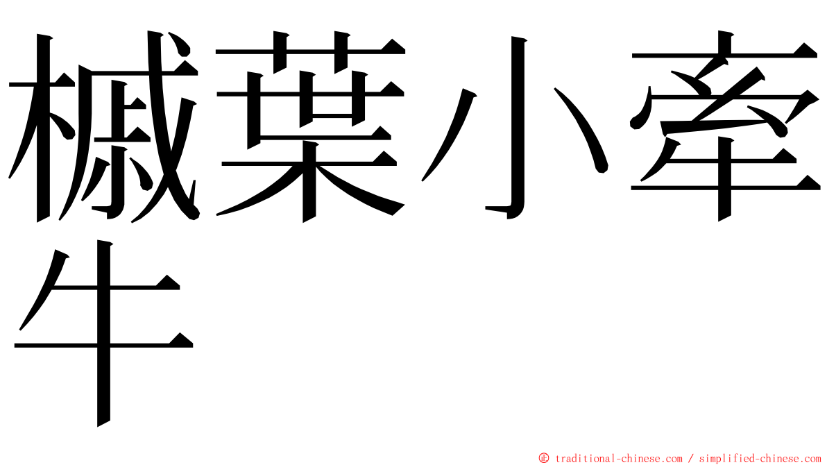槭葉小牽牛 ming font