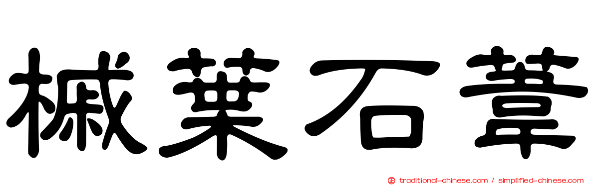 槭葉石葦