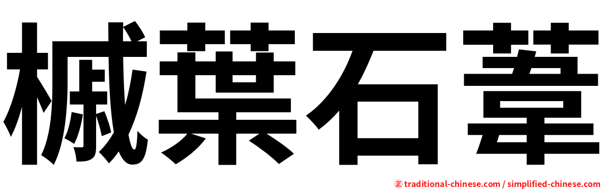 槭葉石葦
