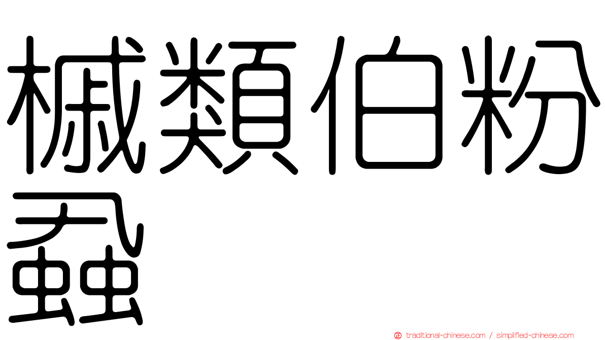 槭類伯粉蝨
