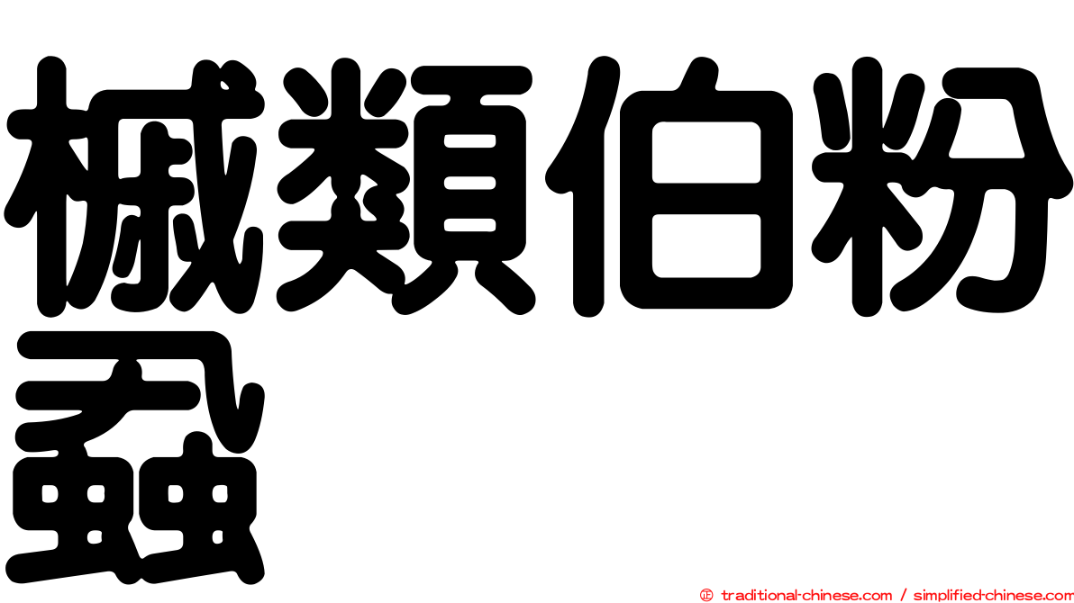 槭類伯粉蝨