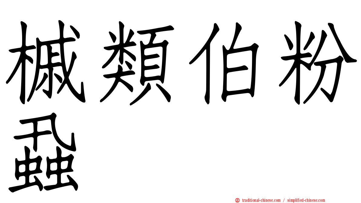 槭類伯粉蝨