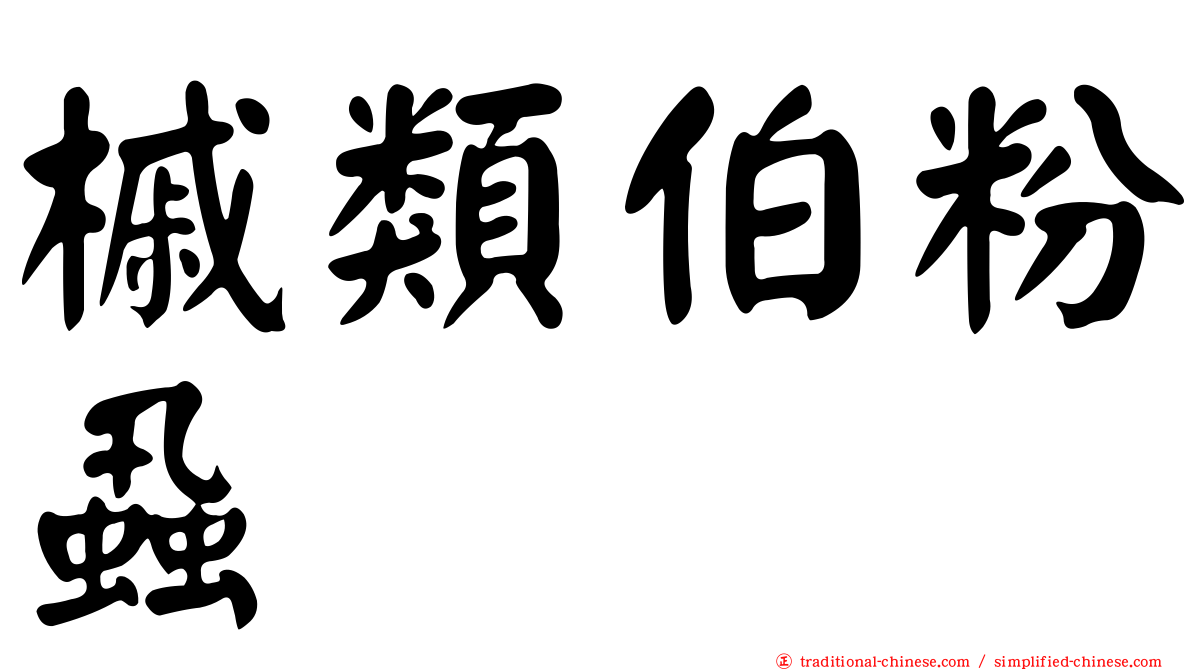 槭類伯粉蝨