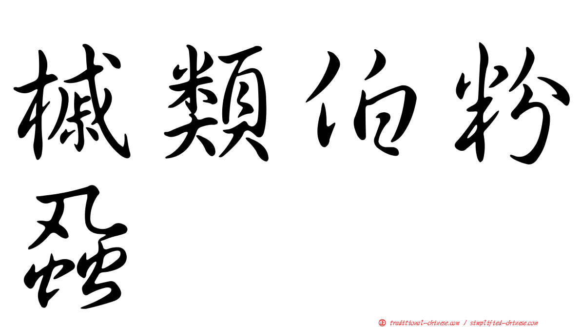 槭類伯粉蝨