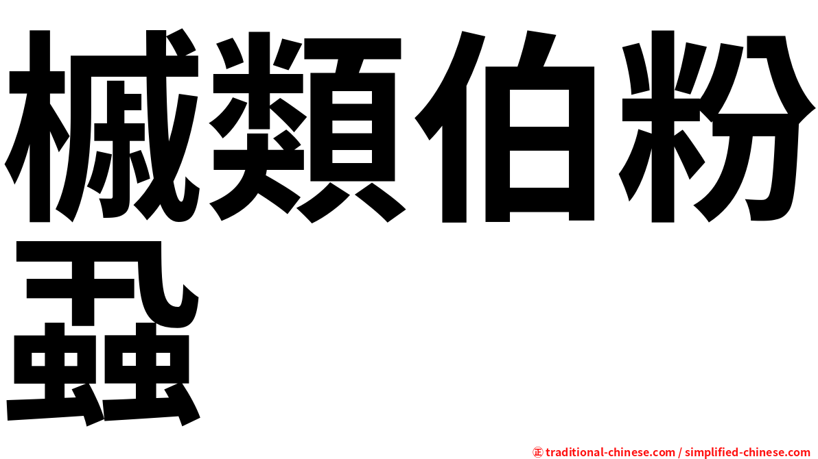 槭類伯粉蝨