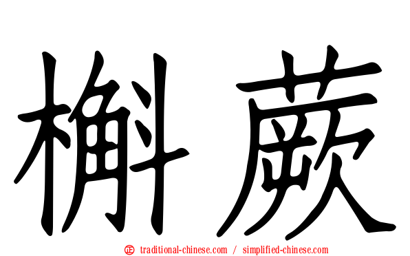 槲蕨