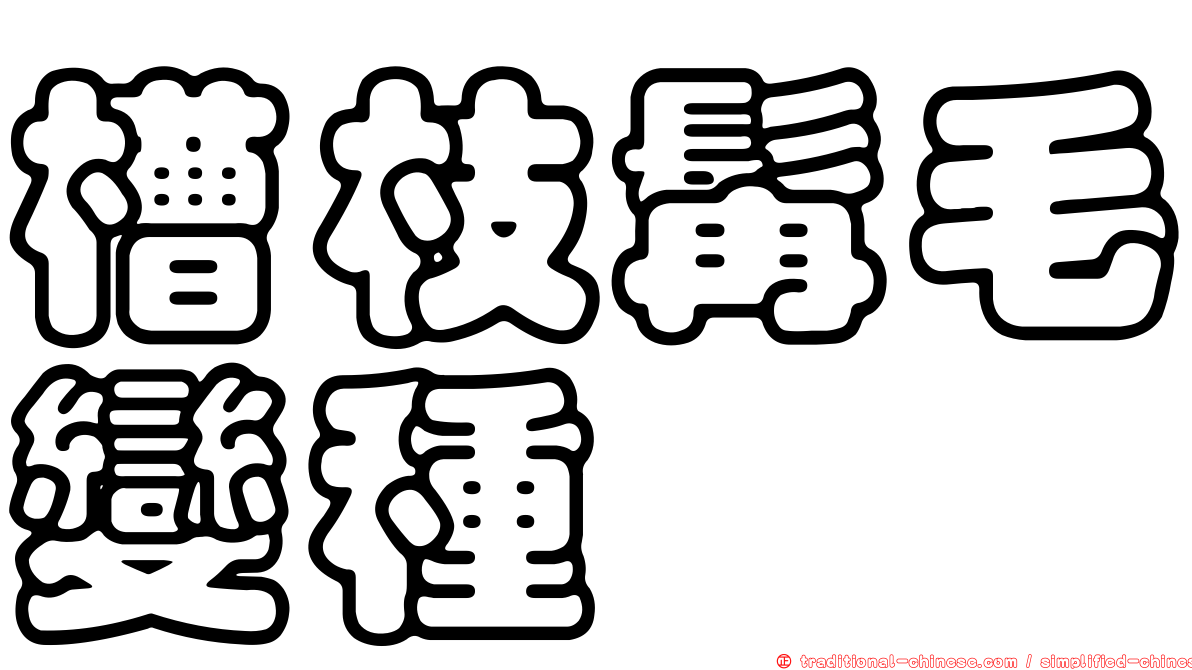 槽枝髯毛變種