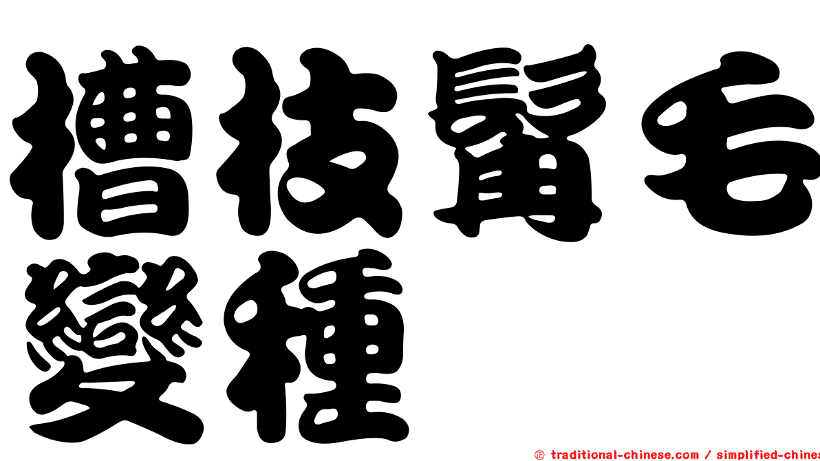 槽枝髯毛變種