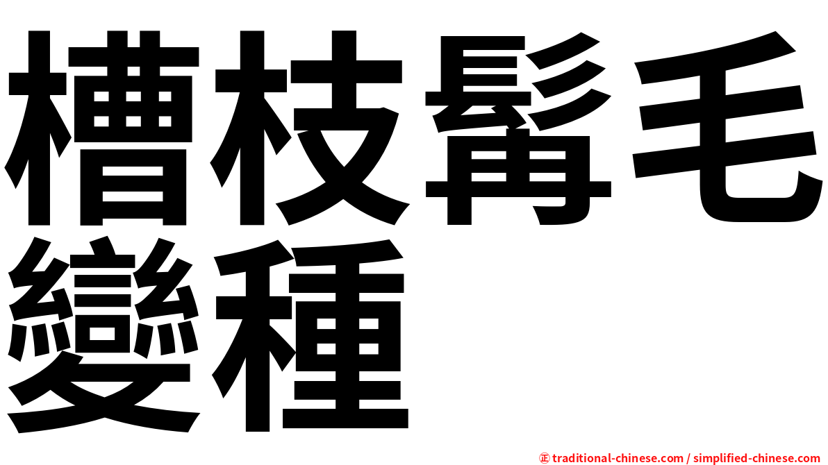 槽枝髯毛變種