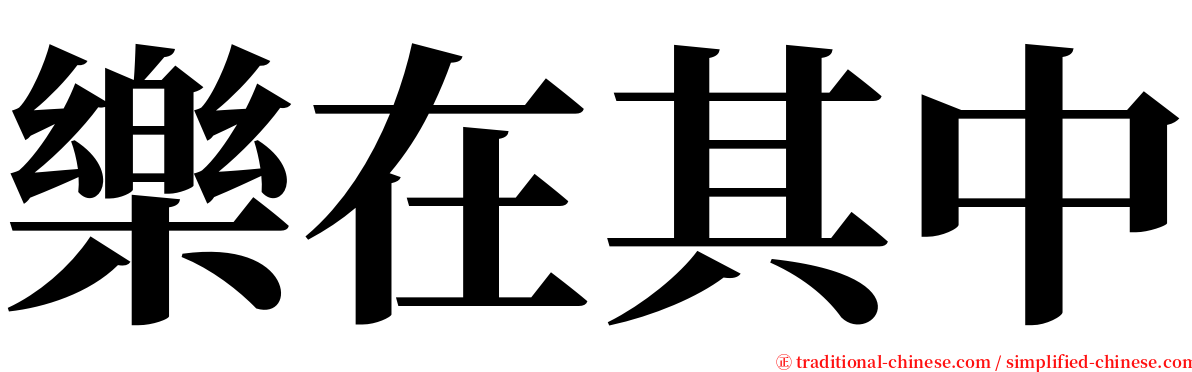 樂在其中 serif font