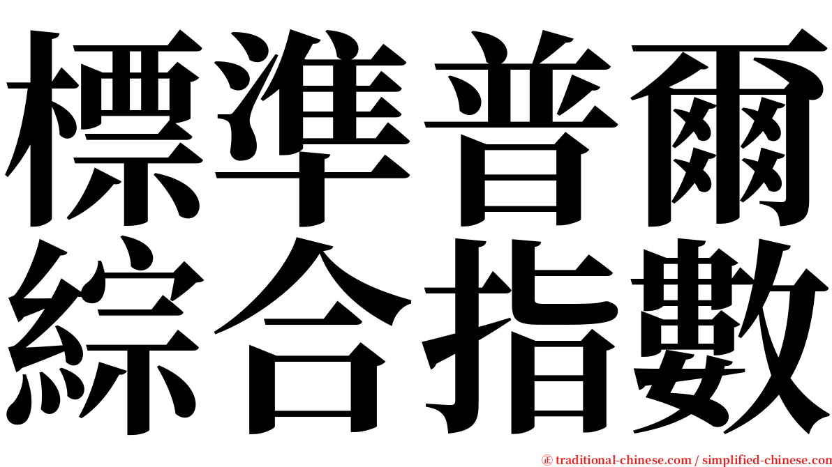 標準普爾綜合指數 serif font