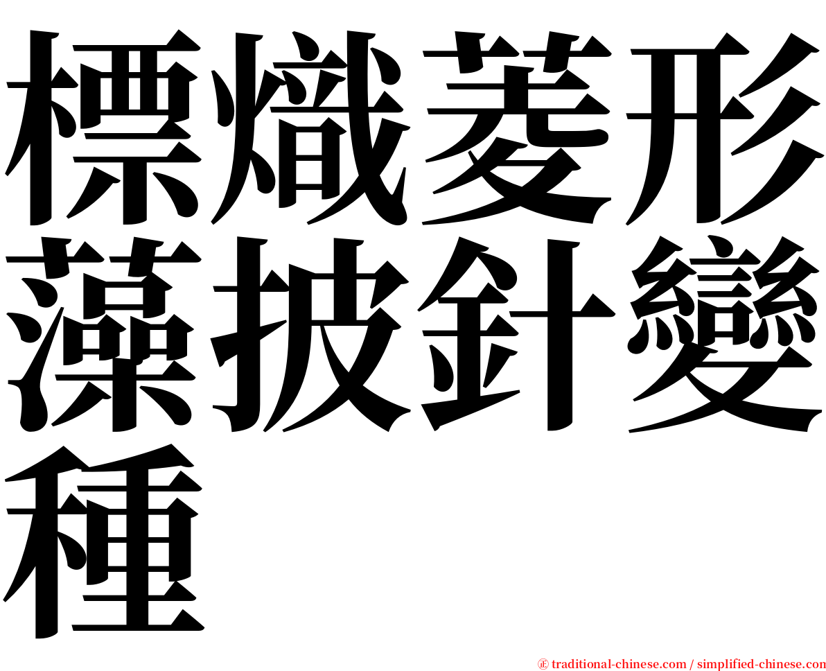 標熾菱形藻披針變種 serif font