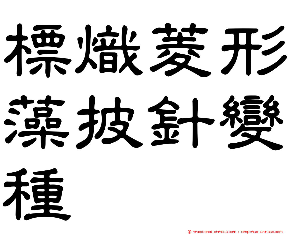 標熾菱形藻披針變種