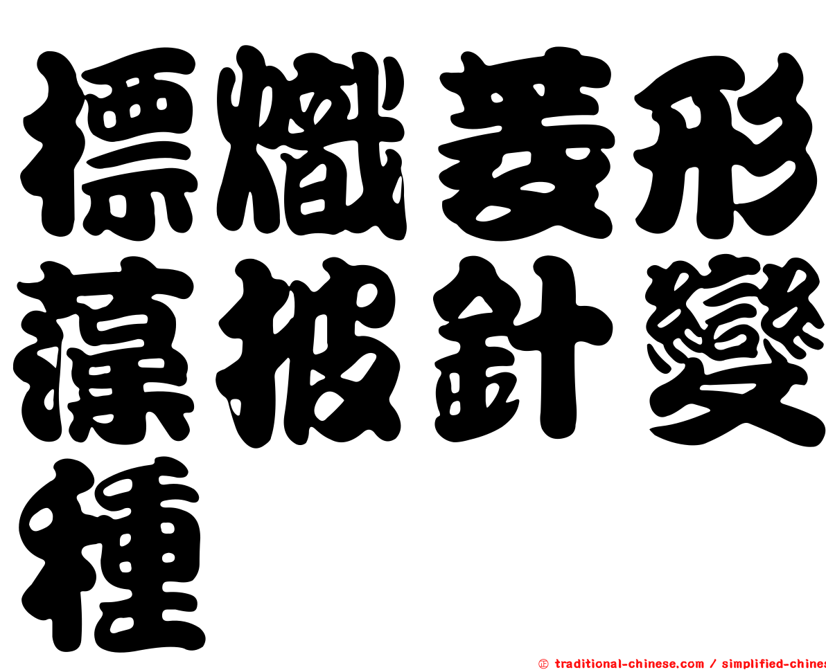 標熾菱形藻披針變種