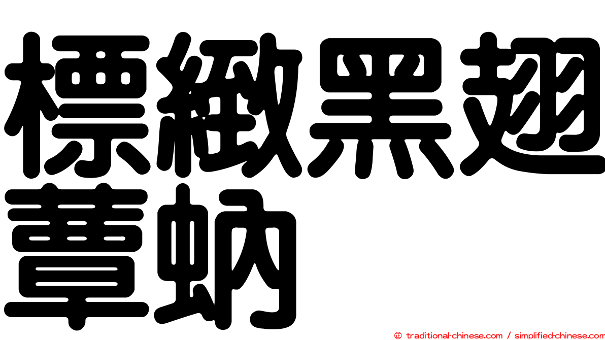 標緻黑翅蕈蚋
