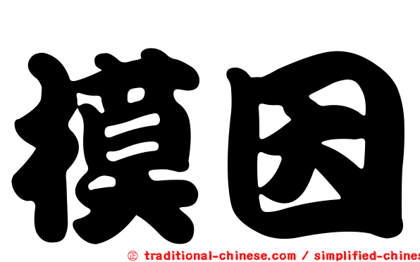 模因