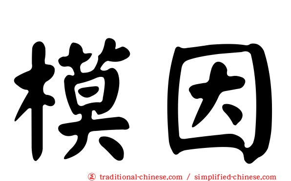 模因