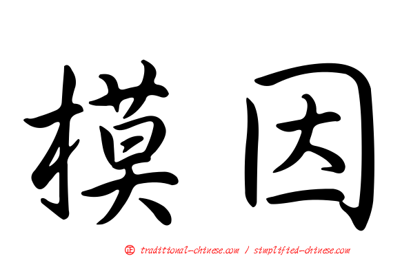 模因