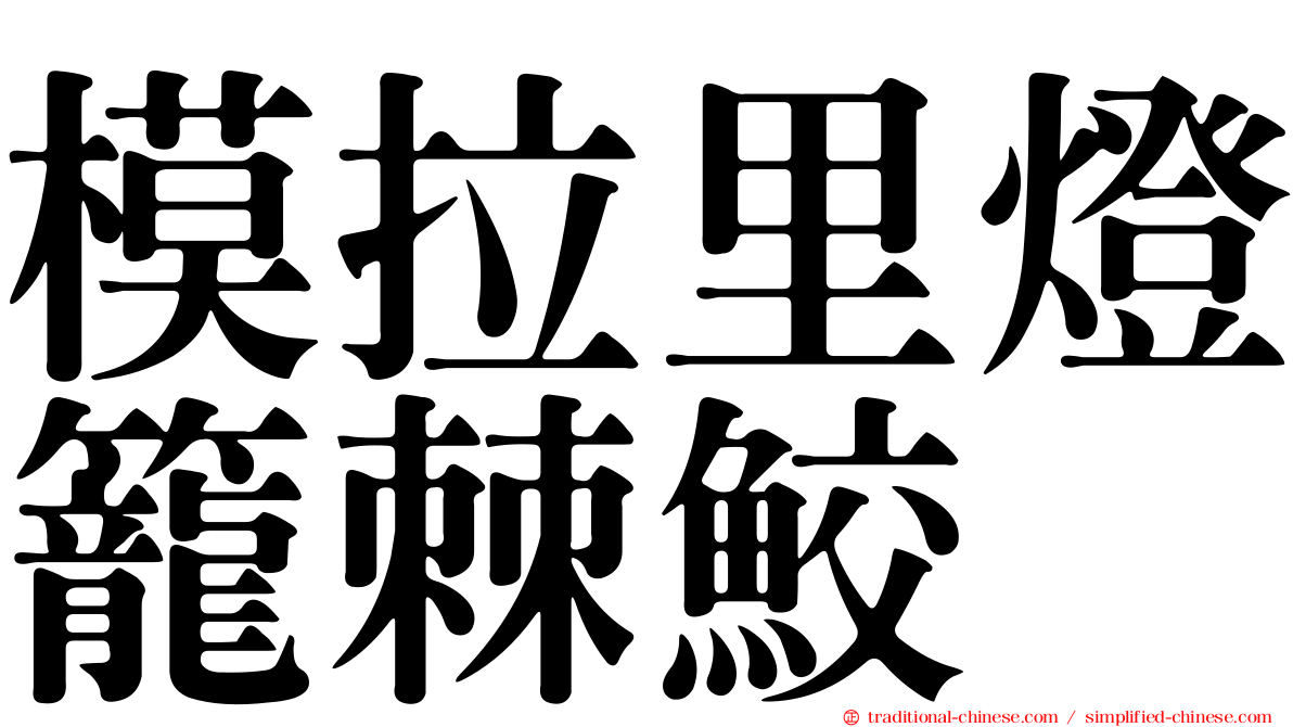 模拉里燈籠棘鮫