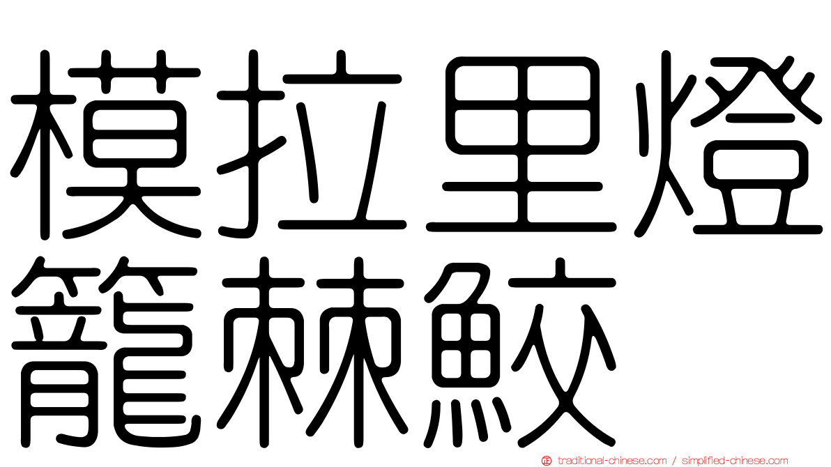模拉里燈籠棘鮫
