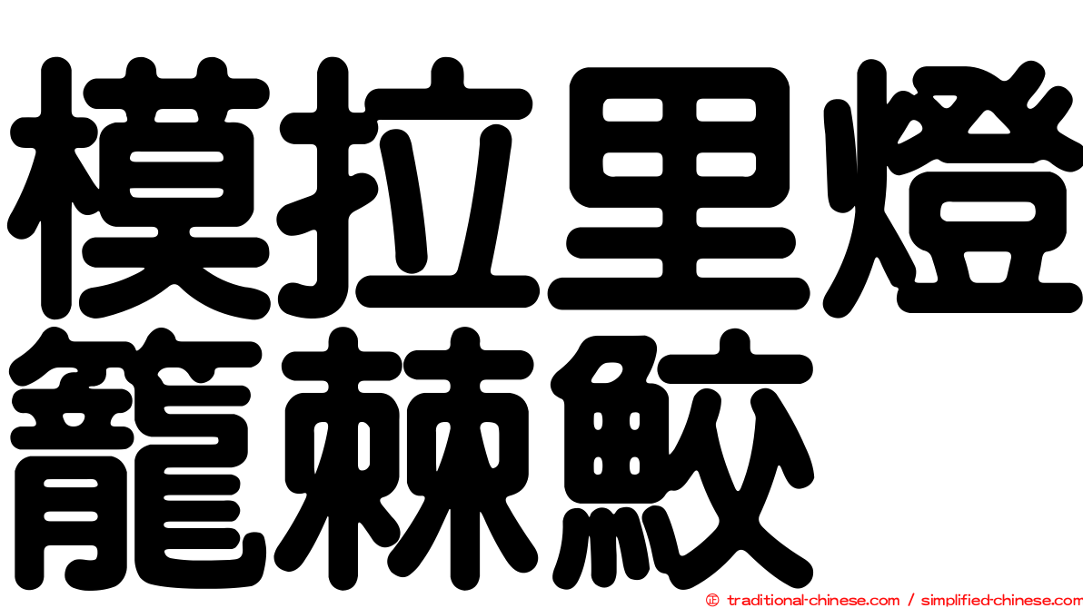 模拉里燈籠棘鮫