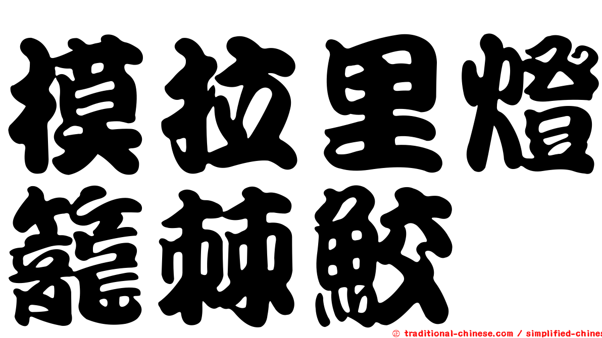 模拉里燈籠棘鮫