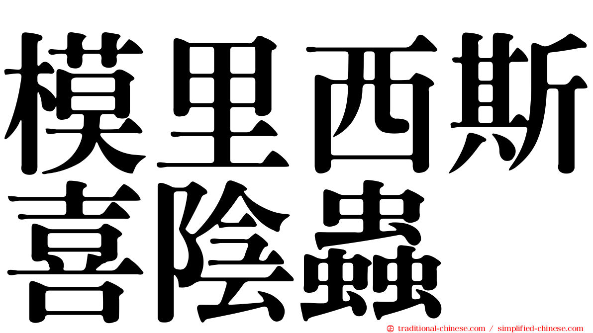 模里西斯喜陰蟲