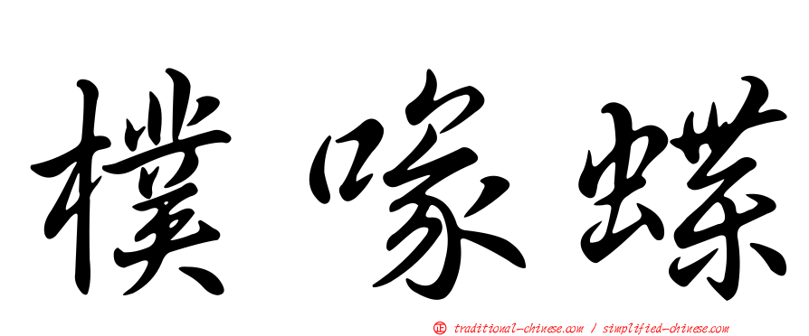 樸喙蝶