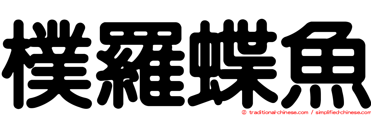 樸羅蝶魚