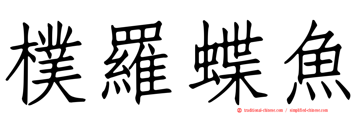 樸羅蝶魚