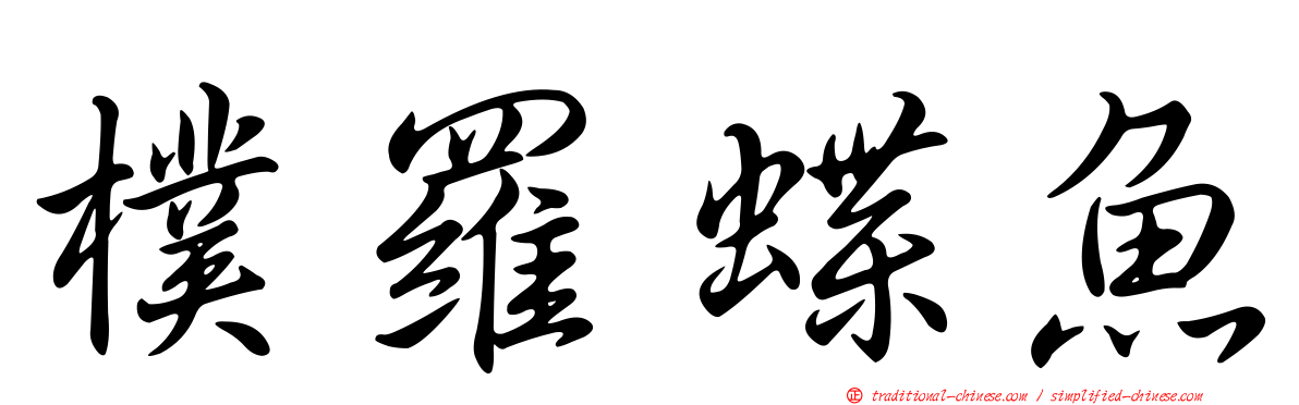 樸羅蝶魚