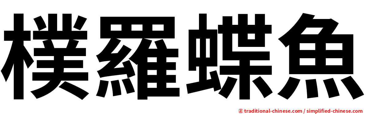 樸羅蝶魚