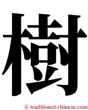 樹 serif font
