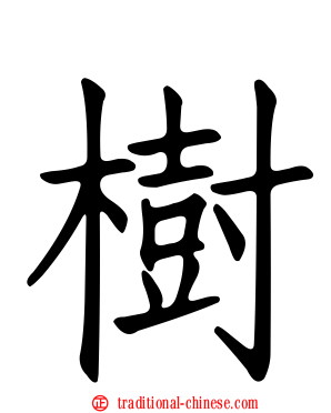 樹